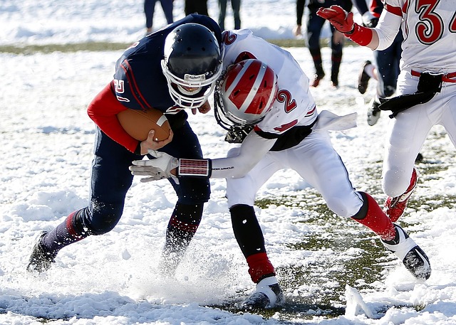 之所以被称 之所以被称